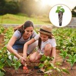 Yizhet 60 Grow Sponges for AeroGarden Systems