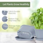 Oliz 6-Pot Windowsill Herb Garden Planter