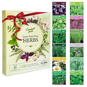 Herb Garden Kit with 12 Seed Varieties