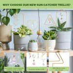 Colorful Indoor Plant Trellis with Crystal Sun Catcher