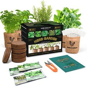 Indoor Herb Garden Kit with 5 Non-GMO Seeds