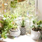 Colorful Indoor Plant Trellis with Crystal Sun Catcher