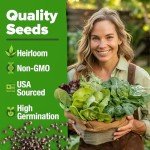5,000+ Non-GMO Heirloom Lettuce Seeds Variety Pack