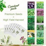 Herb Garden Kit with 12 Seed Varieties