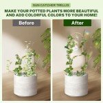 Colorful Indoor Plant Trellis with Crystal Sun Catcher