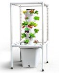 Vertical Hydroponic Indoor Garden with LED Light