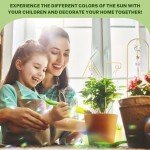 Colorful Indoor Plant Trellis with Crystal Sun Catcher