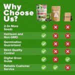 5,000+ Non-GMO Heirloom Lettuce Seeds Variety Pack