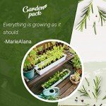 Herb Garden Kit with 12 Seed Varieties
