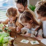 Organic Herb Seed Variety Pack - 15 Types