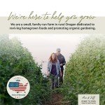 Organic Herb Seed Variety Pack - 15 Types