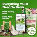5,000+ Non-GMO Heirloom Lettuce Seeds Variety Pack