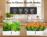 Indoor Hydroponics Garden Kit with LED Grow Light