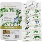 Organic Herb Seed Variety Pack - 15 Types