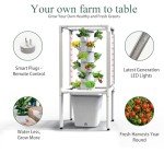 Vertical Hydroponic Indoor Garden with LED Light