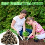 Ambgrow 50 Pack Hydroponic Seed Starter Pods