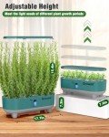 Hydroponic Indoor Garden System with LED Grow Light