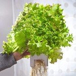 7L Hydroponic Gardening System with Trellis