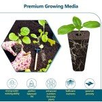 Yoocaa Hydroponic Seed Pods Kit - 24 Sponges