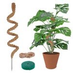 47-Inch Moss Pole for Indoor Climbing Plants