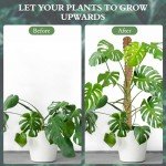 47-Inch Moss Pole for Indoor Climbing Plants