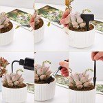 54-Piece Indoor Gardening Tool Kit for Succulents