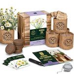 Indoor Herb Garden Starter Kit for Tea
