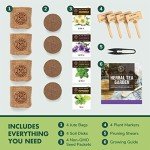 Indoor Herb Garden Starter Kit for Tea