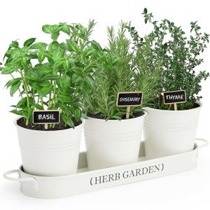 Indoor Herb Garden Planter with Tray