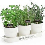 Indoor Herb Garden Planter with Tray