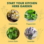 Indoor Herb Garden Starter Kit for Tea