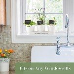 Indoor Herb Garden Planter with Tray