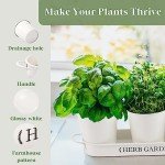 Indoor Herb Garden Planter with Tray