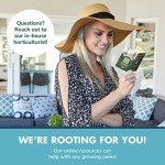 Indoor Herb Garden Starter Kit for Tea