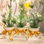 Indoor Herb Garden Planter with Tray