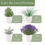 Indoor Herb Garden Planter with Tray