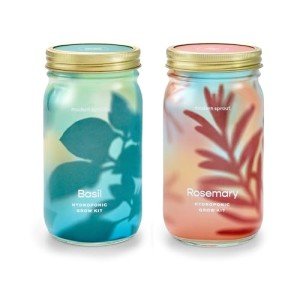 Modern Sprout Mason Jar Indoor Herb Garden Set