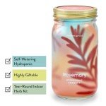 Modern Sprout Mason Jar Indoor Herb Garden Set