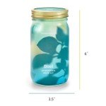 Modern Sprout Mason Jar Indoor Herb Garden Set