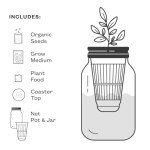 Modern Sprout Mason Jar Indoor Herb Garden Set