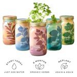 Modern Sprout Mason Jar Indoor Herb Garden Set