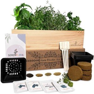 Indoor Herb Garden Kit with 4 Non-GMO Seeds