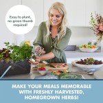 Indoor Herb Garden Kit - Grow Your Own Herbs