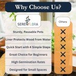 Indoor Herb Garden Kit with 4 Non-GMO Seeds