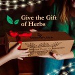 Indoor Herb Garden Kit with 4 Non-GMO Seeds