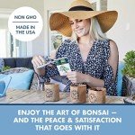 Mini Bonsai Tree Seed Starter Kit with Soils