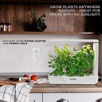 Ivation 11-Pod Hydroponic Indoor Garden Kit