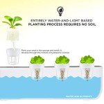 Ivation 11-Pod Hydroponic Indoor Garden Kit