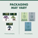 Mini Bonsai Tree Seed Starter Kit with Soils
