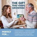 Mini Bonsai Tree Seed Starter Kit with Soils